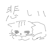 861817691