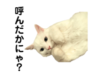 861818394
