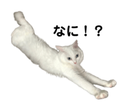 861818395