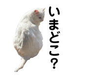 861818400