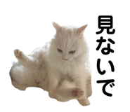 861818406