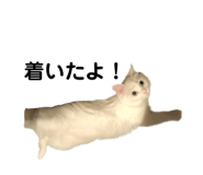 861818407