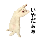 861818408