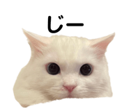 861818409