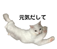 861818413