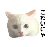 861818414