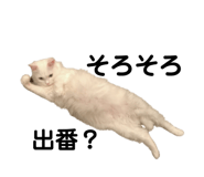 861818415