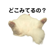 861818417