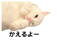 861818420