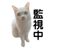 861818425