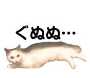 861818431