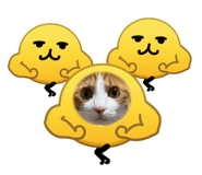 861818810