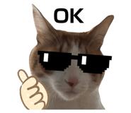 861818817