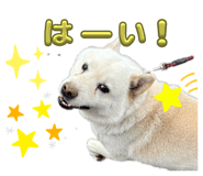 861818976