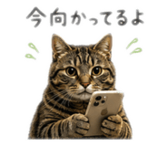 861819250
