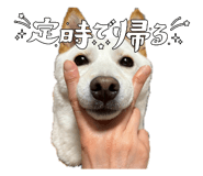 861819849