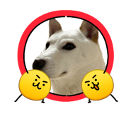 861819855