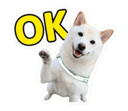 861820600