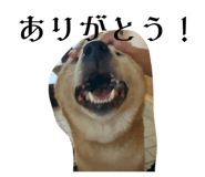 861821931