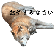 861821934