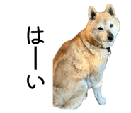 861821936