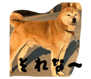 861821939