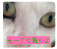 861822027