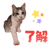 861822276