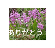 861823425