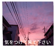 861823430