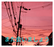 861823431