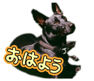 861823629