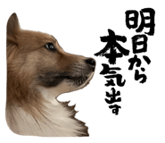 861824958