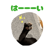 861825028