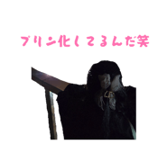 861891077