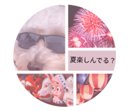 861893708
