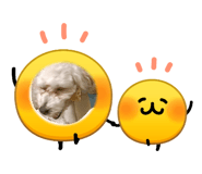 861893709
