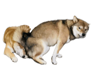 861893985