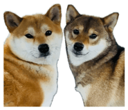 861893990