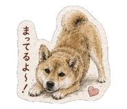 861894094
