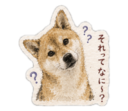 861894099