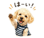 861897943