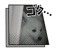 861898939