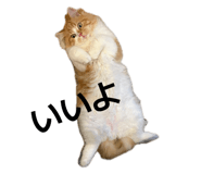 861898986