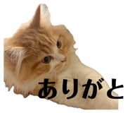 861898992