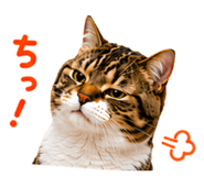 861899125