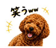 861899250
