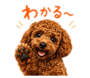 861899252