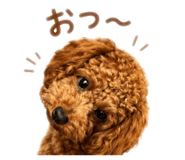 861899282