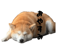 861902018